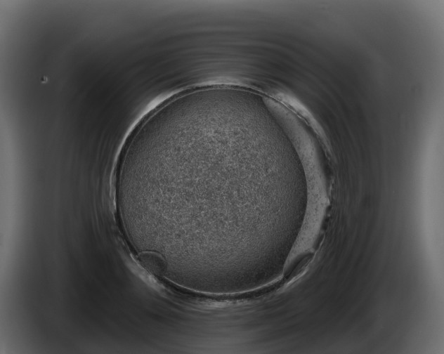 X0000085800892200703231328
