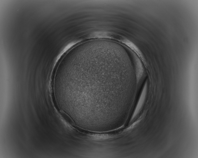 X0000085800893200703231328