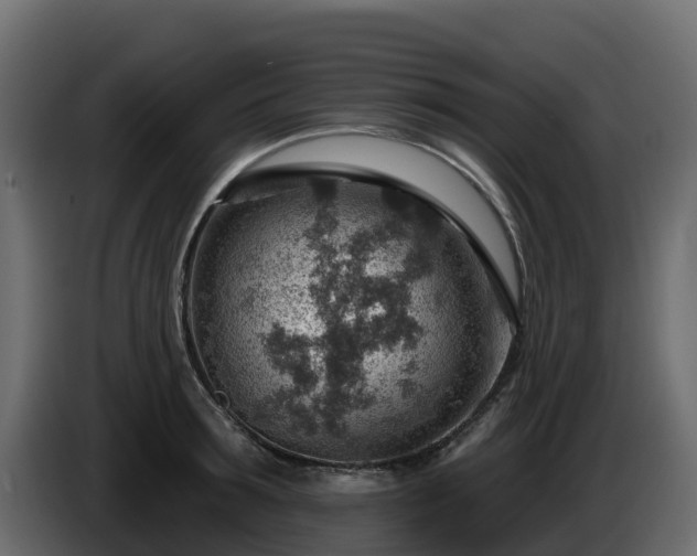 X0000085800899200703231327