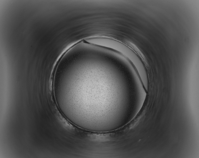 X0000085800900200703231327
