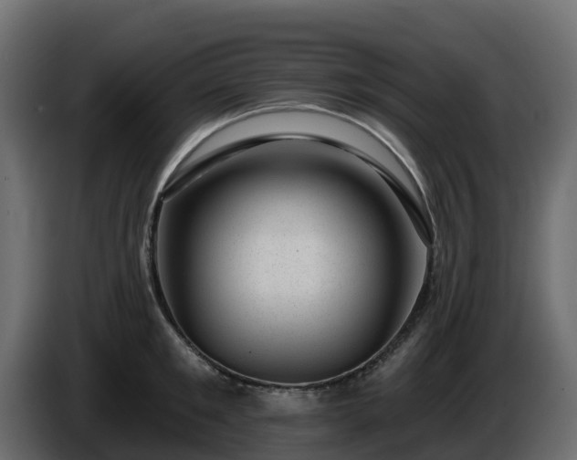 X0000085800901200703231327