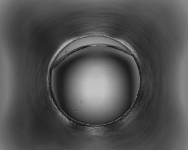 X0000085800902200703231327