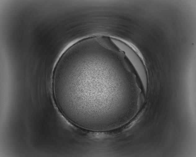 X0000085800903200703231327