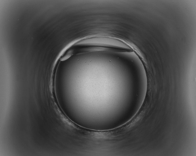 X0000085800904200703231327