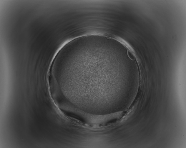 X0000085800907200703231327