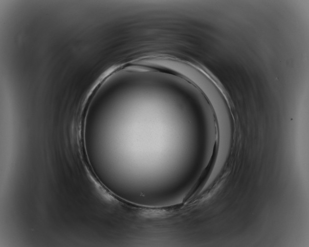 X0000085800909200703231327