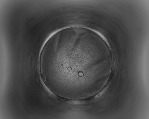 X0000085800911200703231327
