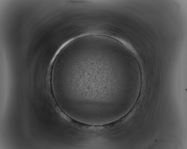 X0000085800912200703231327
