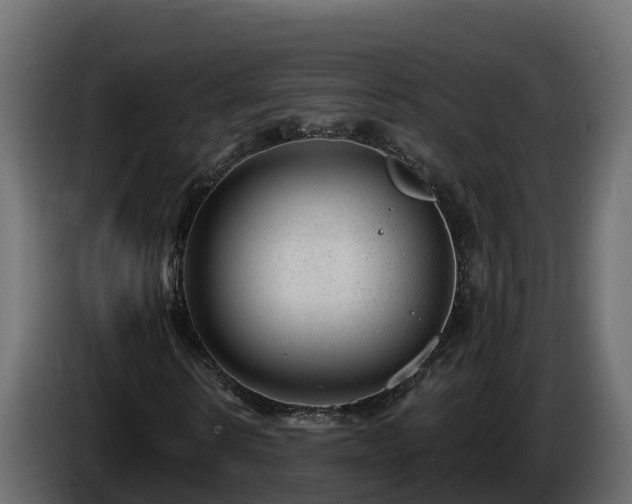 X0000085800914200703231327