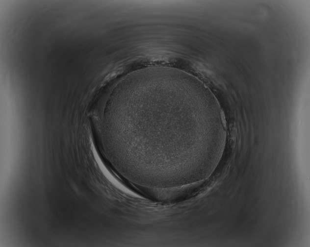X0000085800916200703231327