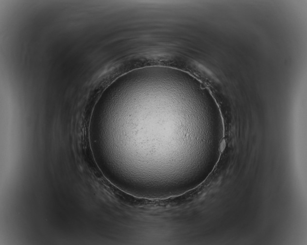 X0000085800917200703231327