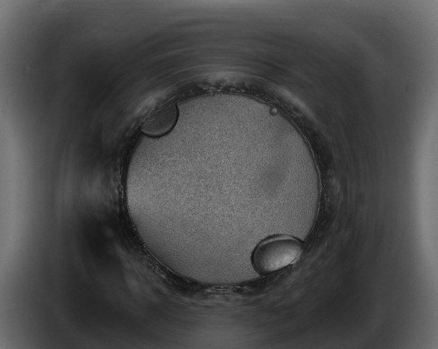 X0000085800918200703231327