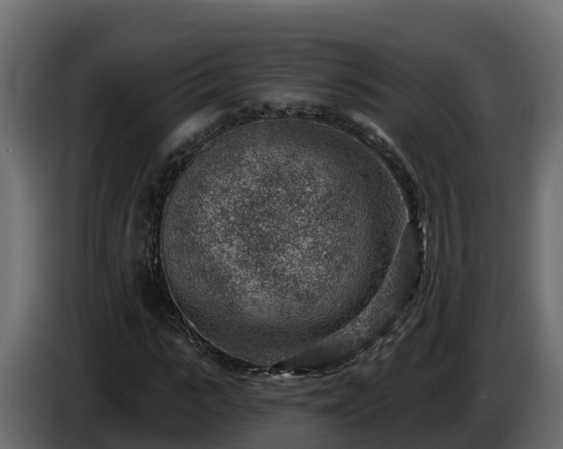 X0000085800919200703231327