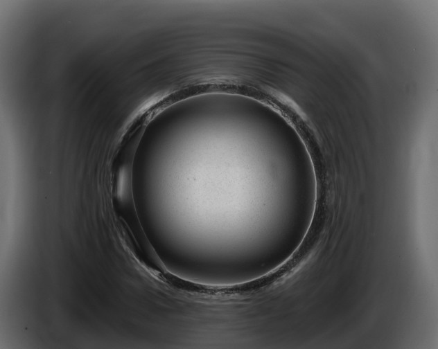 X0000085800922200703231327
