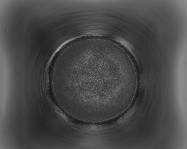X0000085800923200703231327