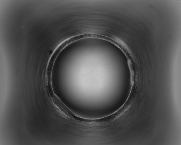 X0000085800924200703231327