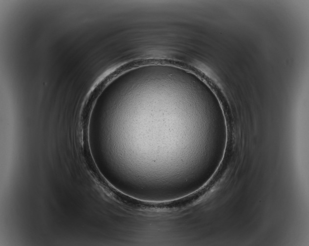 X0000085800925200703231327