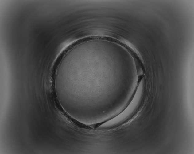 X0000085800926200703231327