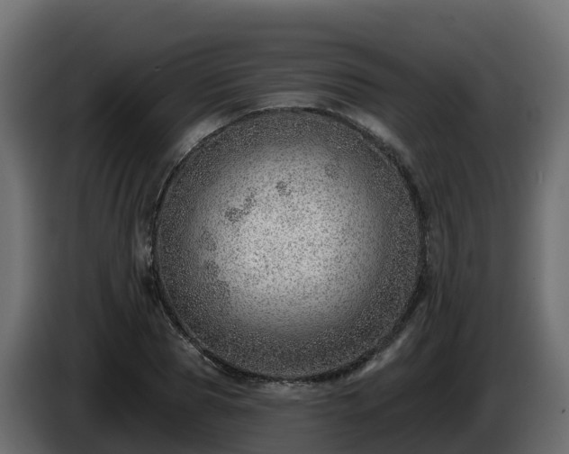 X0000085800929200703231327