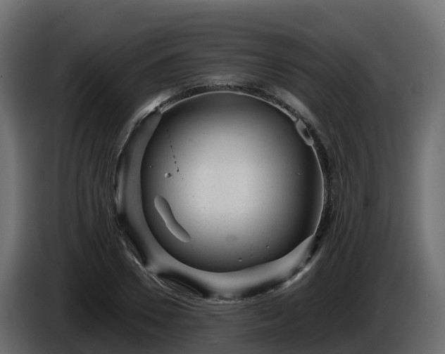 X0000085800930200703231327