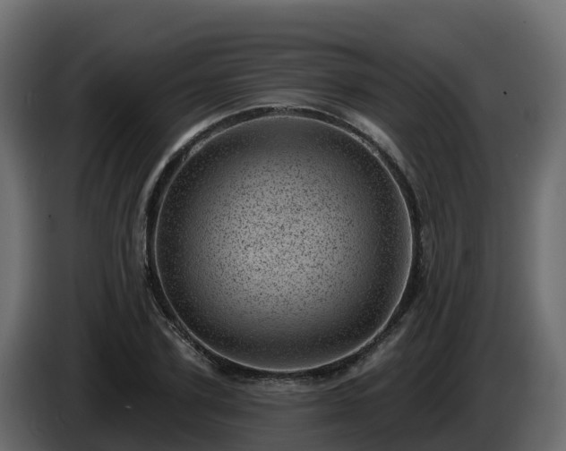X0000085800931200703231327