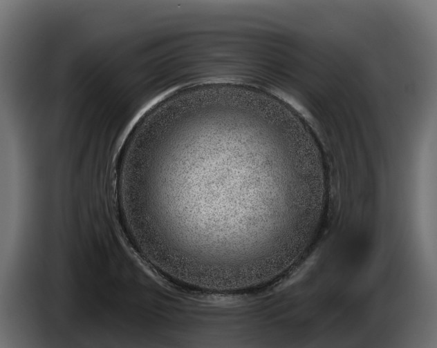 X0000085800933200703231327