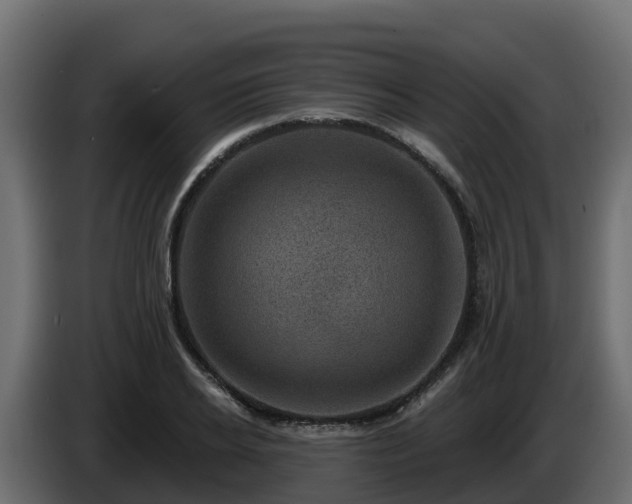 X0000085800934200703231327