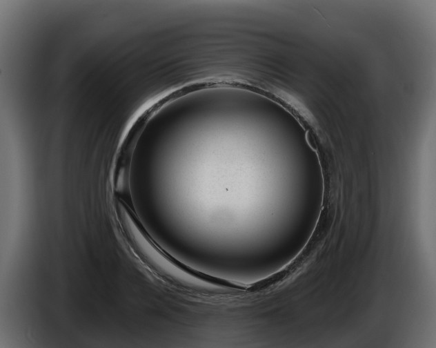 X0000085800936200703231327