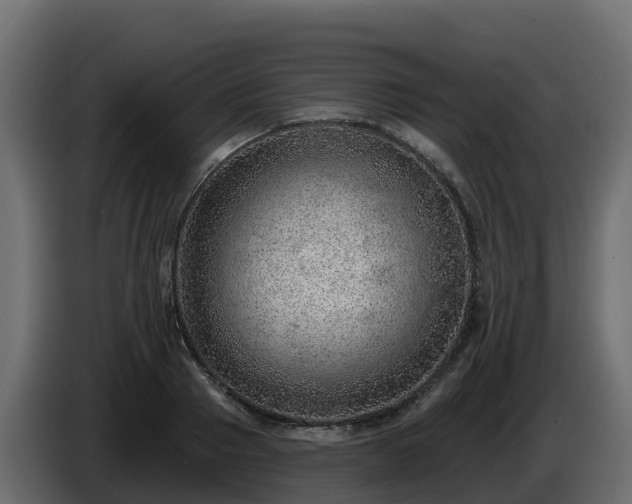 X0000085800937200703231327