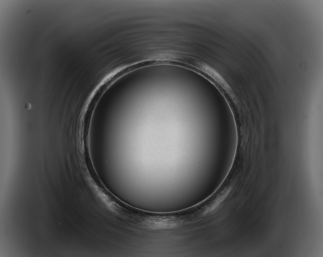 X0000085800939200703231327