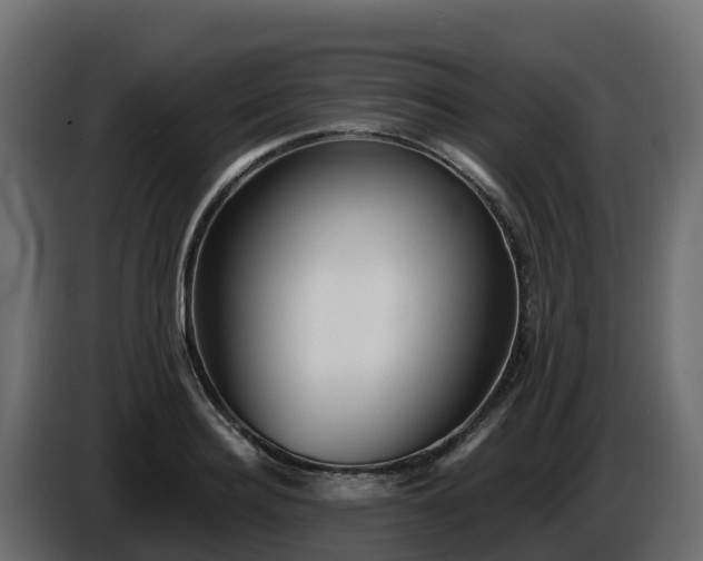 X0000085800940200703231327