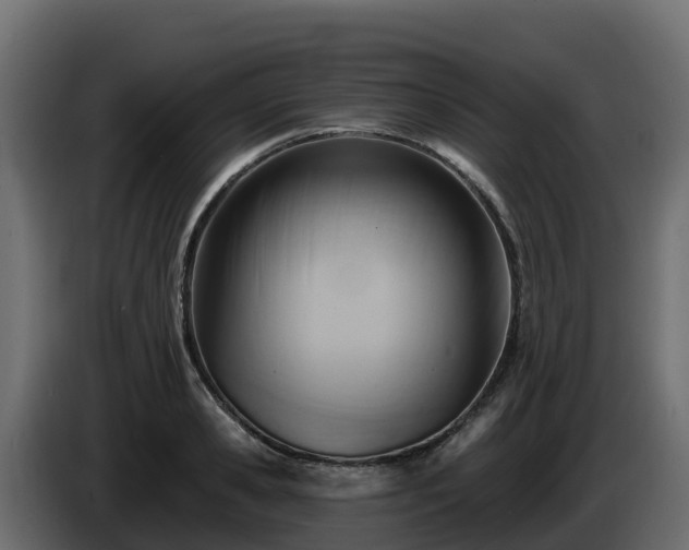 X0000085800941200703231327