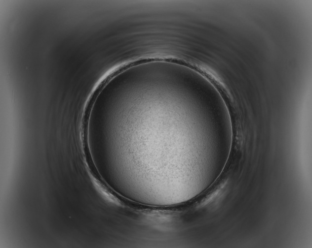 X0000085800942200703231327