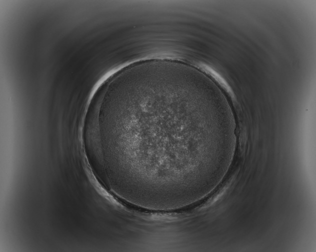 X0000085800944200703231327