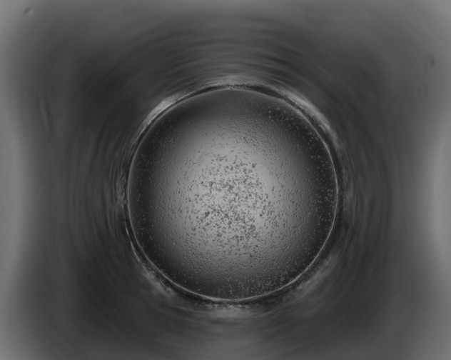 X0000085800945200703231327