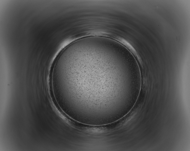 X0000085800947200703231327