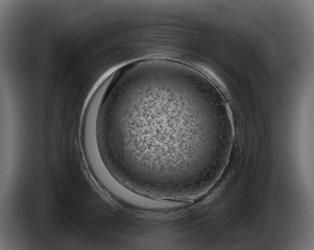 X0000085800948200703231327