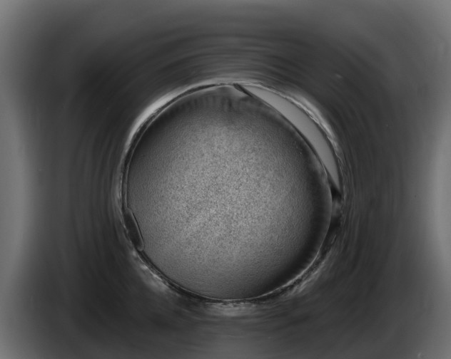 X0000085800952200703231327