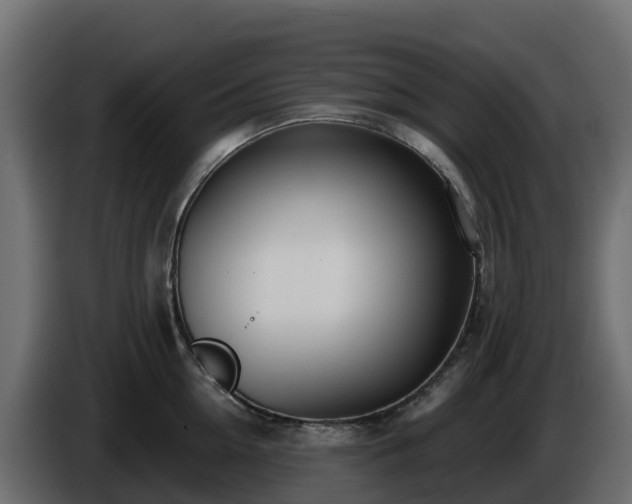 X0000085800954200703231327