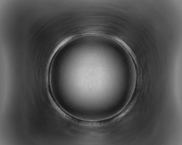 X0000085800957200703231327