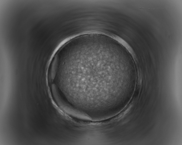 X0000085800958200703231327