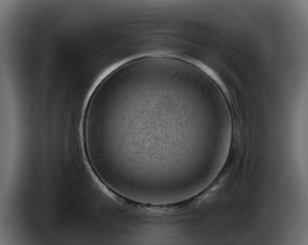 X0000085800959200703231327