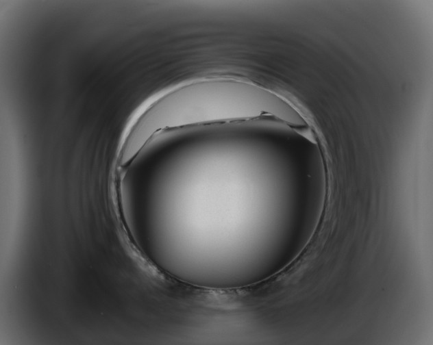 X0000085800960200703231327