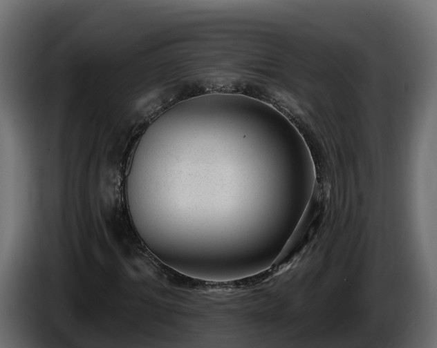 X0000085800964200703231327