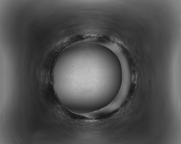 X0000085800965200703231327