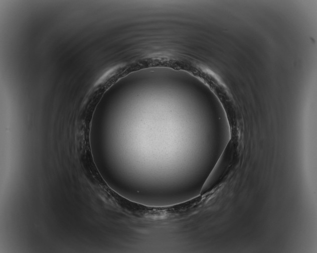 X0000085800968200703231326