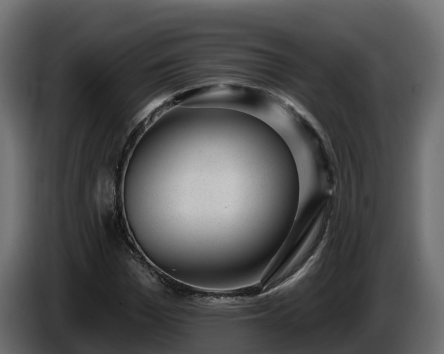 X0000085800969200703231326