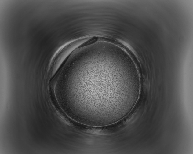 X0000085800971200703231326