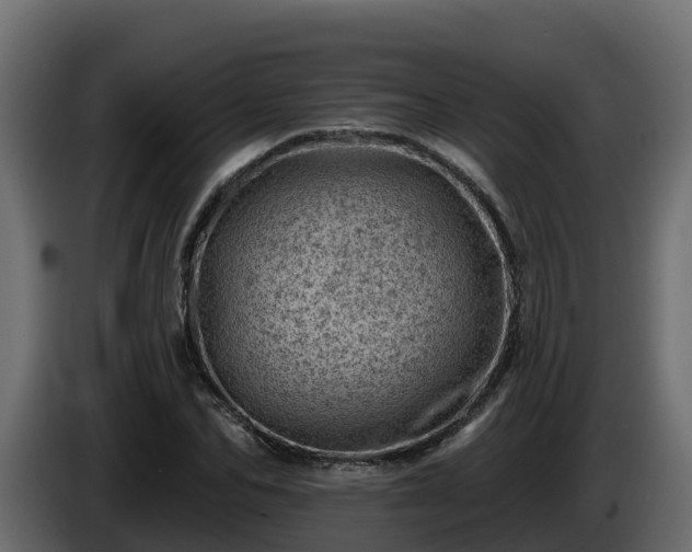 X0000085800974200703231326