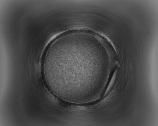 X0000085800975200703231326